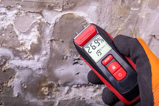 Best Residential Mold Remediation in Kings Park, NY
