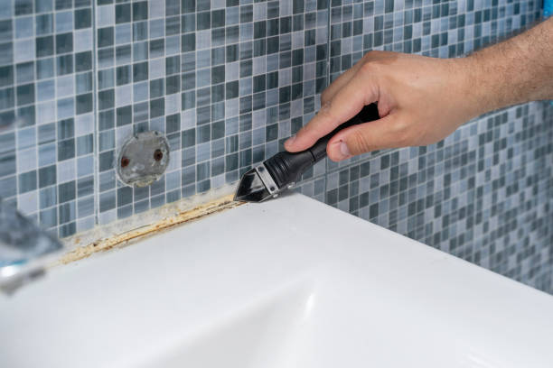 Best Commercial Mold Remediation in Kings Park, NY
